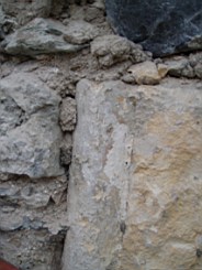 christchurch -1360.jpg